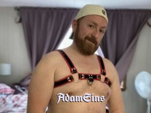 AdamSins