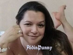 AidinPunny