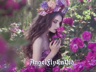 AngelFlyLaVid