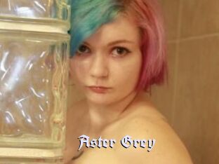 Aster_Grey