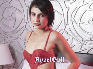 AyselGull