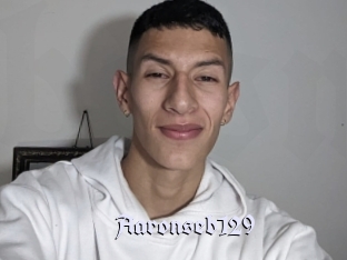 Aaronseb129