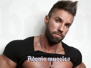 Adonis_muscles