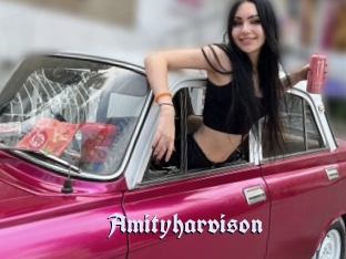 Amityharvison
