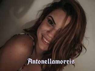 Antonellamorris