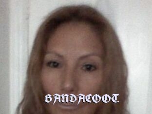 BANDACOOT