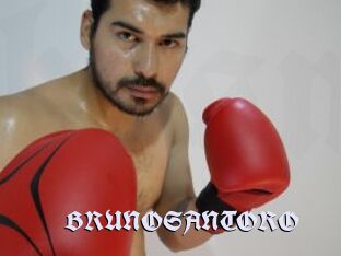 BRUNOSANTORO