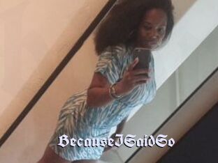 BecauseISaidSo