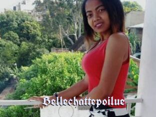 Bellechattepoilue