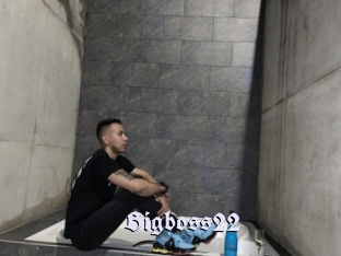 Bigboss22