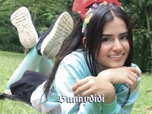 Bunnydidi
