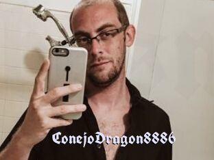 ConejoDragon8886