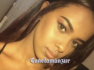 Canelamanzur