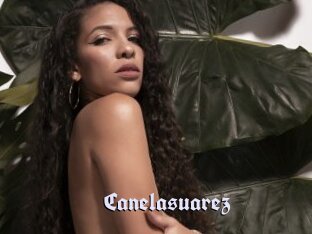 Canelasuarez