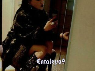 Cataleya9
