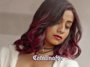 Catalinafox