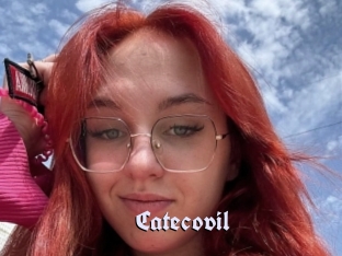 Catecovil