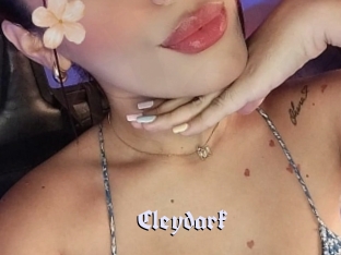 Cleydark