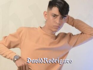 DavidRodrigues