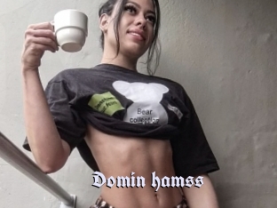 Domin_hamss