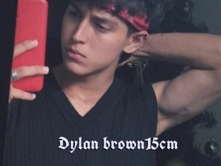 Dylan_brown15cm