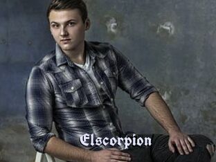 Elscorpion