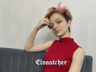 Elvaatcher