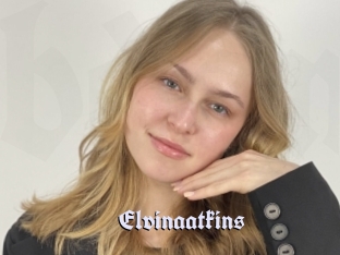 Elvinaatkins