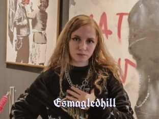 Esmagledhill
