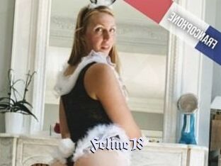 Feline18