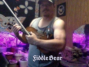 FiddleBear