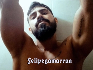 Felipegamarraa