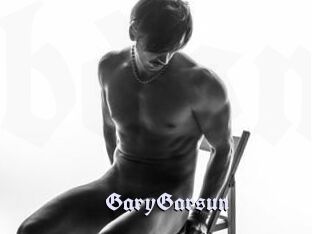 GaryGarsun