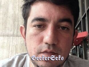 GeekerSeks