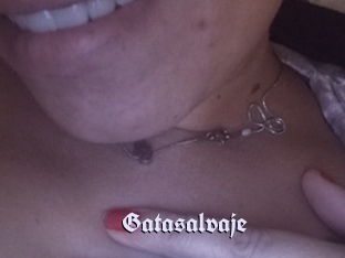 Gatasalvaje