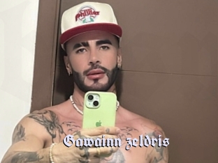 Gawainn_zeldris