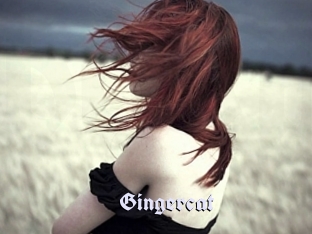 Gingercat