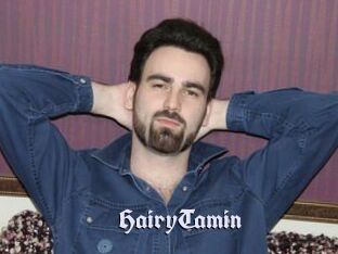 HairyTamin