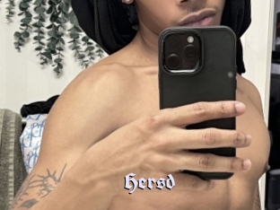 hersd Bdsm Blog