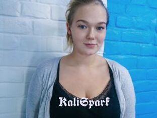 KaliSpark