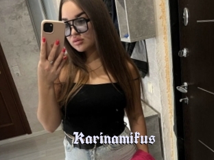 Karinamikus