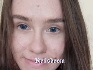 Kriisboom