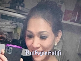 Kulkoginikutifi