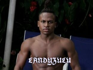 LANDYZULU