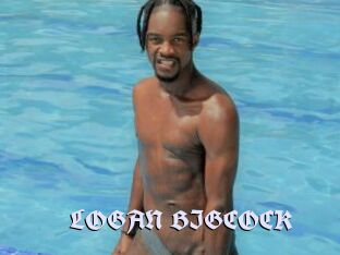 LOGAN_BIGCOCK