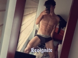 Leoignite