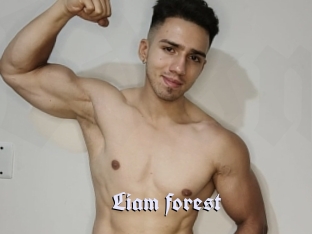 Liam_forest