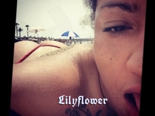 Lilyflower