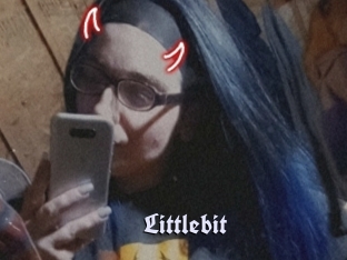 Littlebit