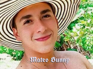 Mateo_Bunny